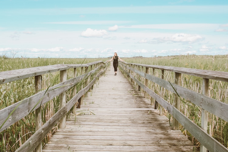 Taylor walks along a boardwalk among marshland in Hecla-Grindstone Provincial Park, Manitoba