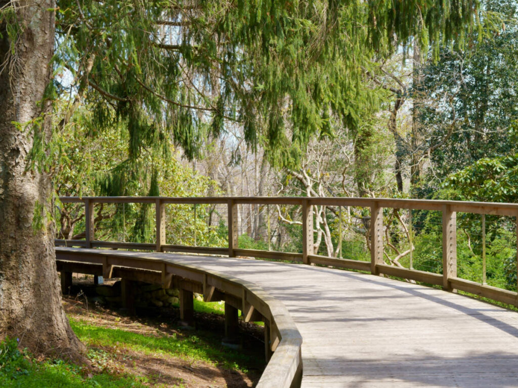 View of the Boardwalk trail at the Heritage Museum and Gardens