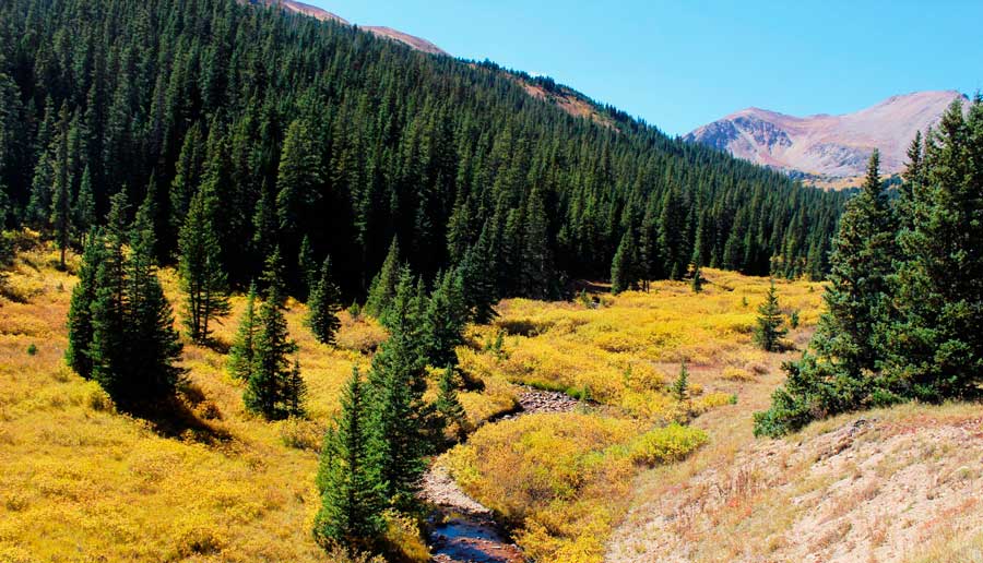 View of the hiking trail in Herman Gulch