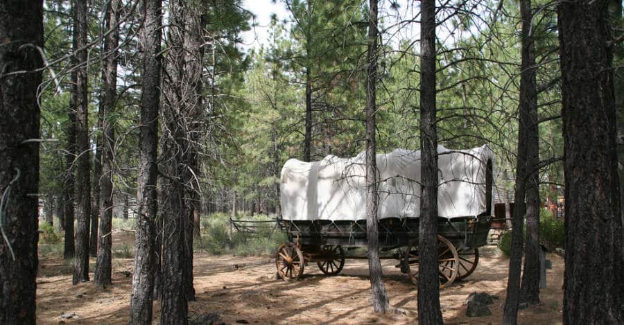 A station wagon at the High Desert Museum