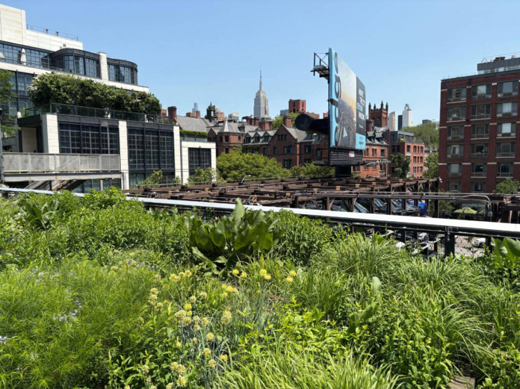 Overlooking view from the High Line
