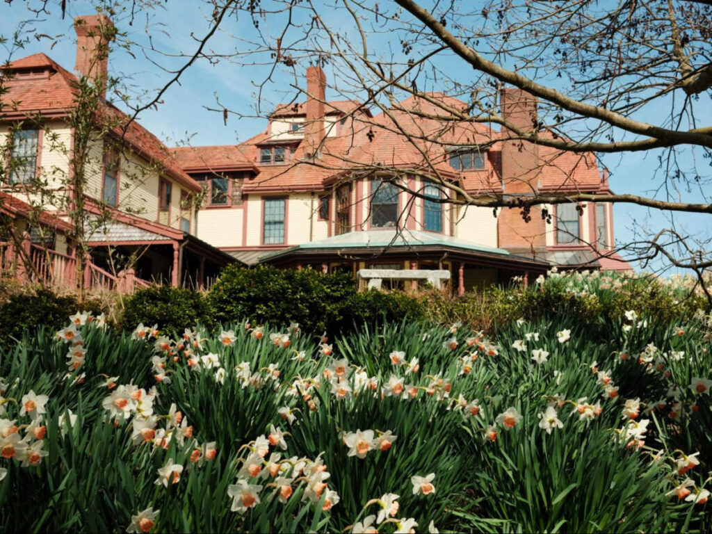 View of the Highfield Hall and flowers