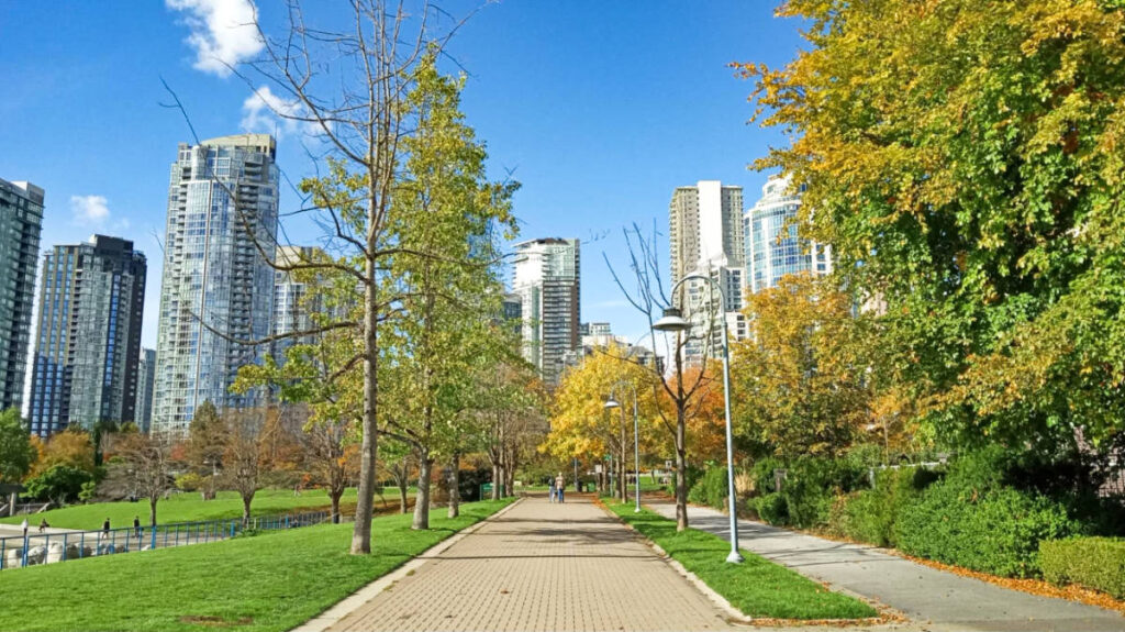 Panoramic view of the highrises from the park surrounded by fall foliage