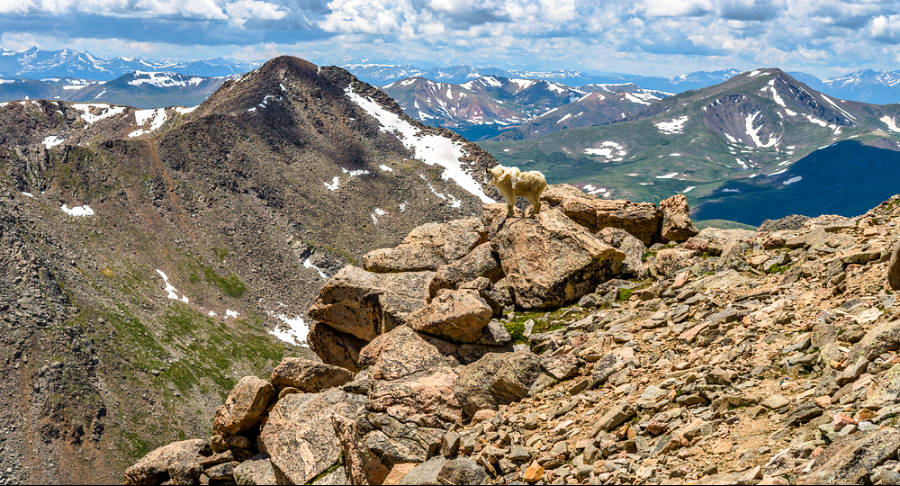 Scenic view of the mountains from a rocky mountain in Colorado