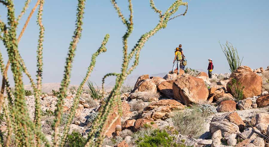 View of people wandering in Anza Borrego State Park