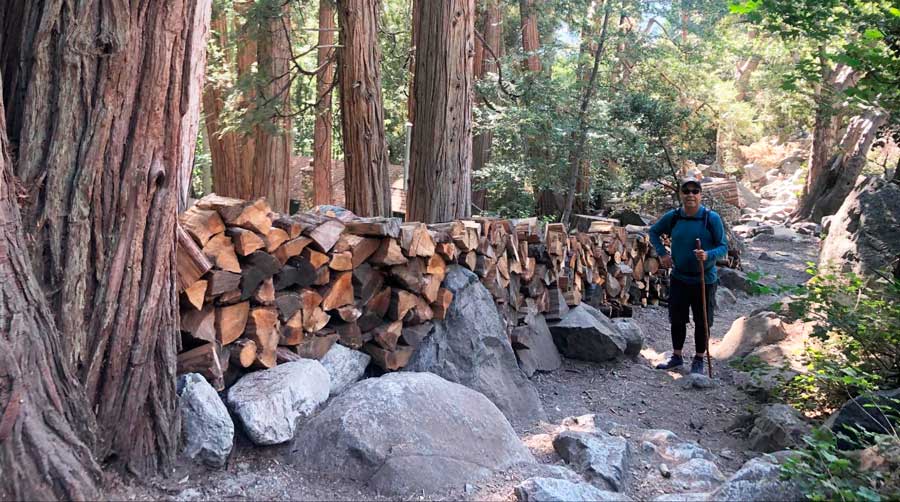The author's father during their hike in Sequoia National Park