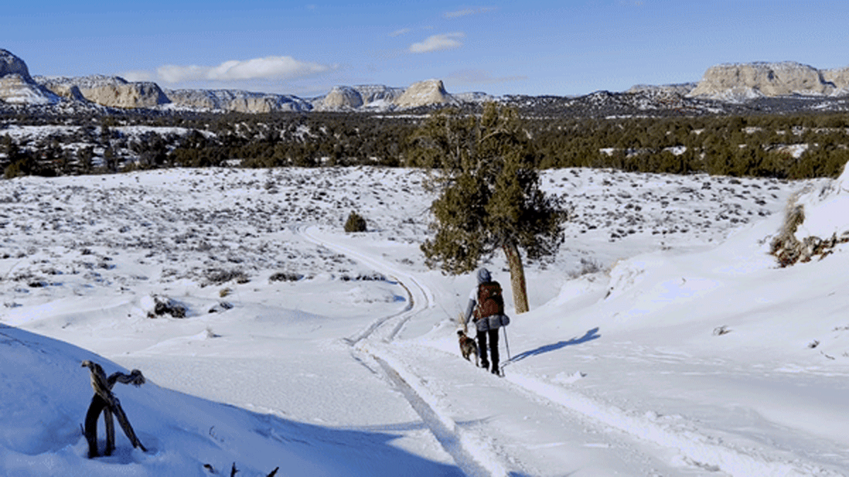 A hiker walking on a snowy trail in Utah with her dog