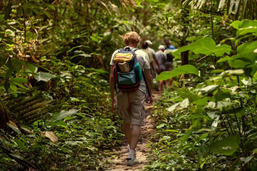 The hikers on the trail in Rio Abajo State Forest