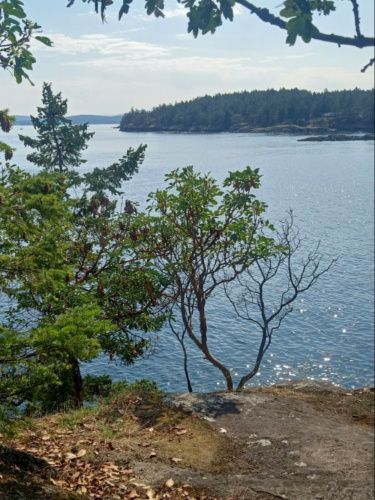 The Hike path to Grandma’s Bay