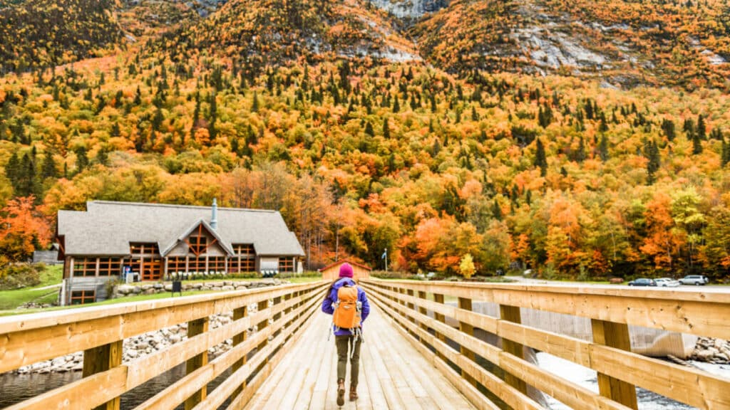 A hiker walking along the boardwalk leading to the Hautes-Gorges-de-la-Riviere-Malbaie National Park in autumn