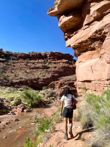 A hiker walking along the Capitol Reef National Park