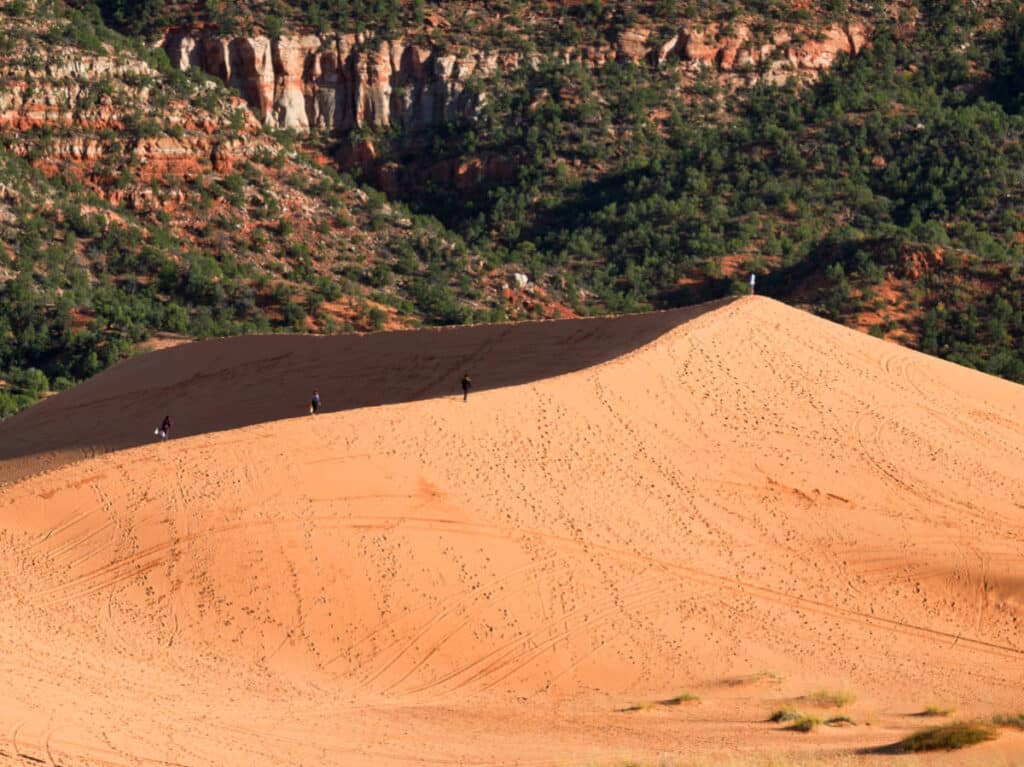 View of the hikers exploring the Coral Pink Sand Dunes State Park