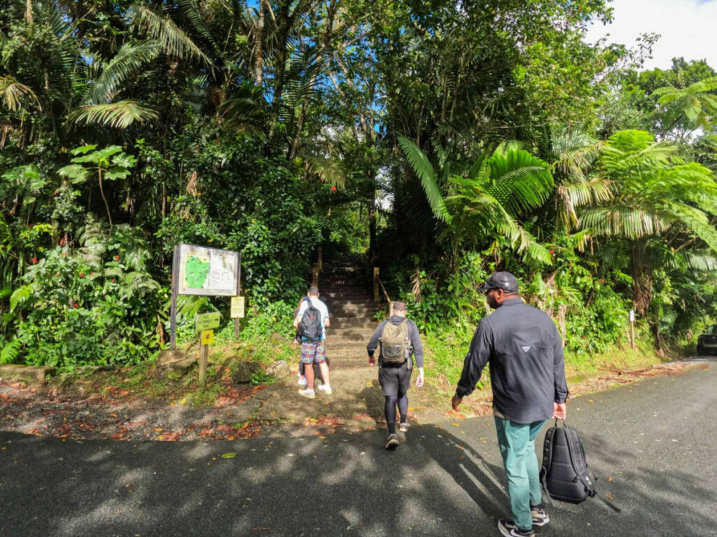 A group of hikers at the entrance to the trail