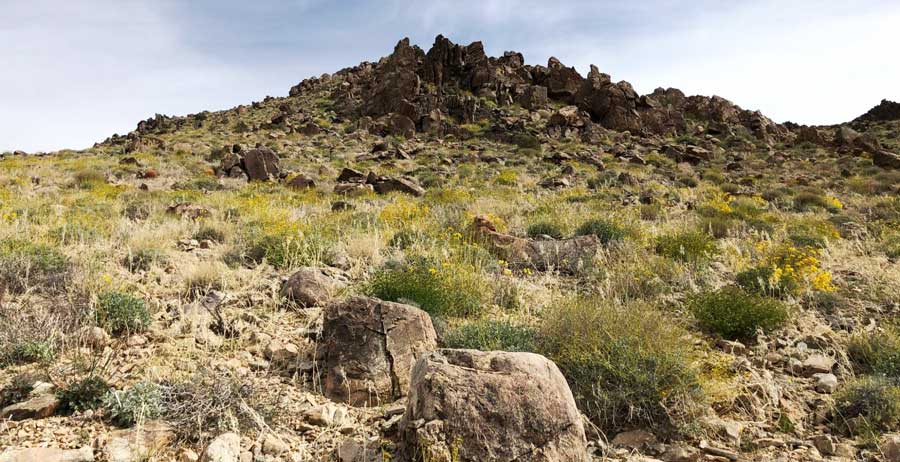 View of a rocky hiking trail in Joshua Tree