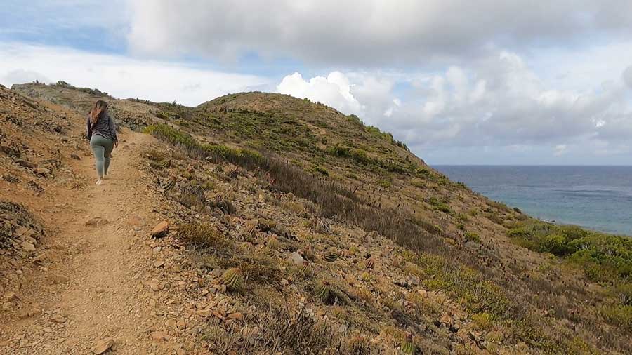 The author's wife on a hiking trail in St. John