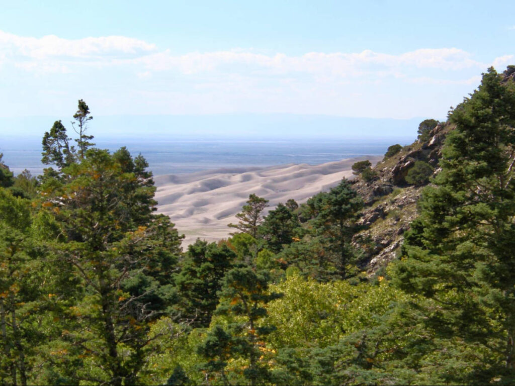 Overlooking view of the Great Sand Dunes National Park from a hiking trail
