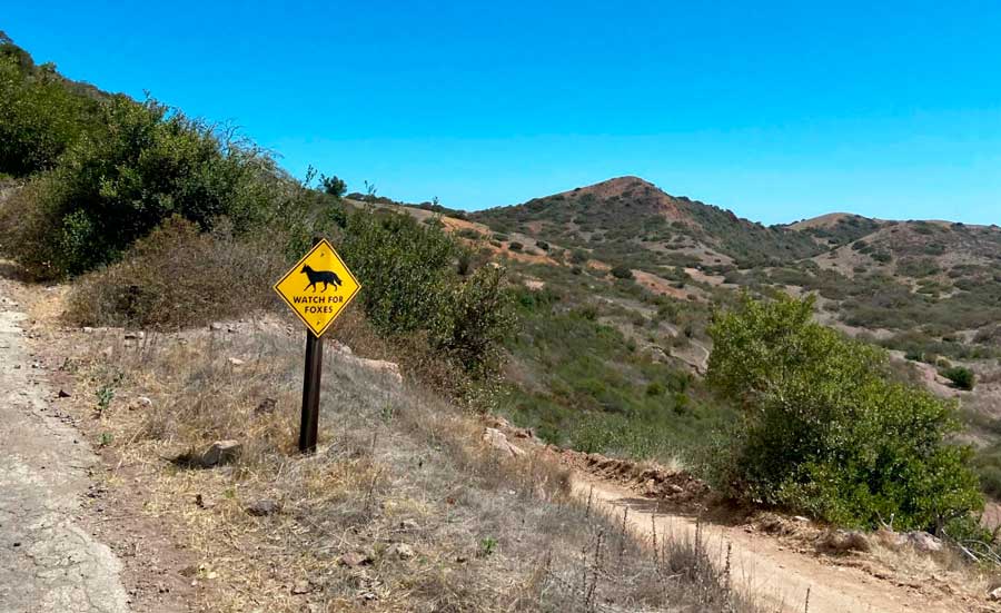 A warning sign on a hiking trail in Catalina Island