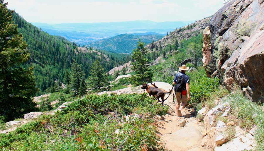 The author's husband with their dog going on a hike in Fish Creek Falls Trail