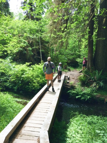 The author's family crossing the bridge on a hike through the Hoh Rainforest