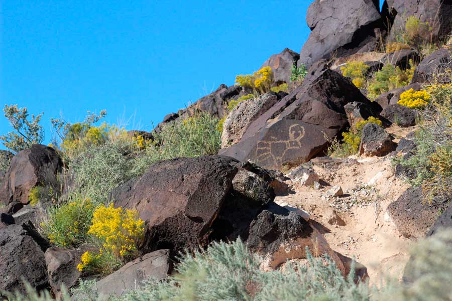 A stone with carvings in Petroglyph National Monument