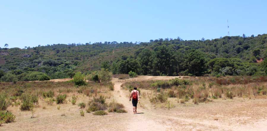 View of a hiker in the wilderness of Setubal