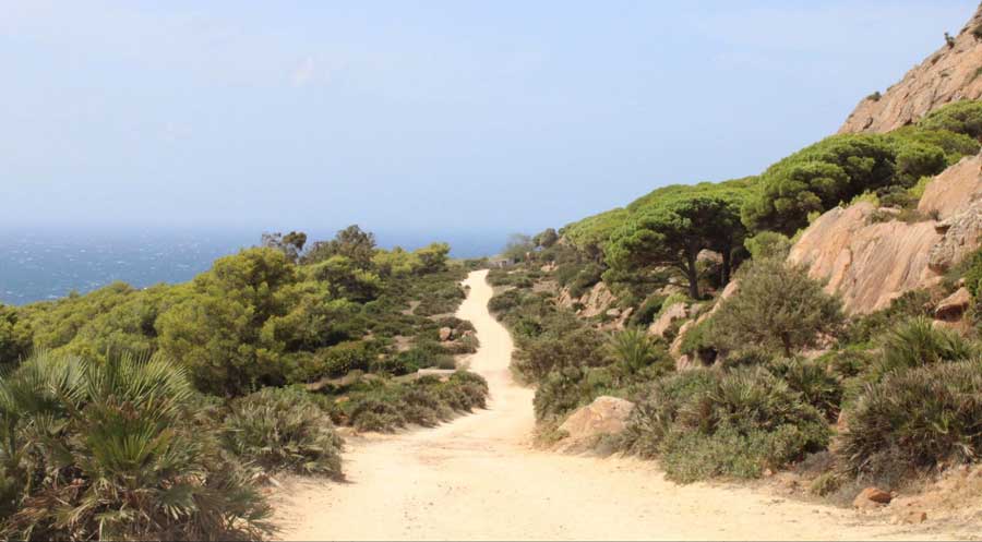 A pathway on a mountain area in Spain