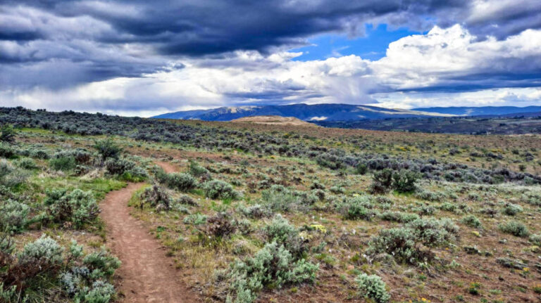 View of the hiking trail leading to the distance surrounded by greenery with mountain views in Yakima