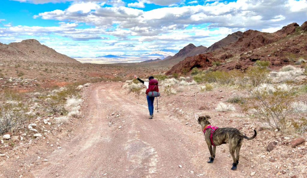 Skycie posing for a photo on a trail during a hike
