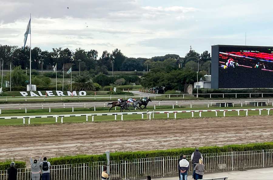 View of horses during a race in Hipódromo Argentino de Palermo