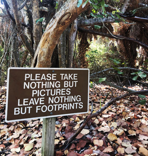 View of a signage in a wilderness