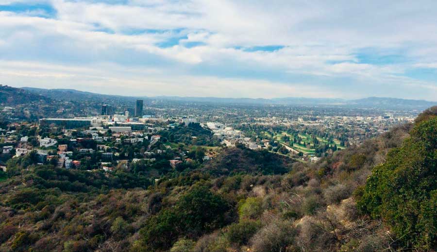 Overlooking view from the Hollywood Hills