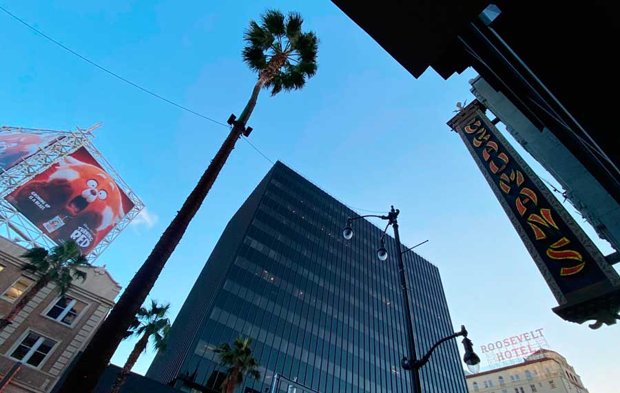 View when you look up from Hollywood Walk of Stars