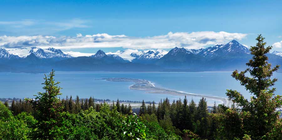 Overlooking view of Homer Spit from a forest in Homer