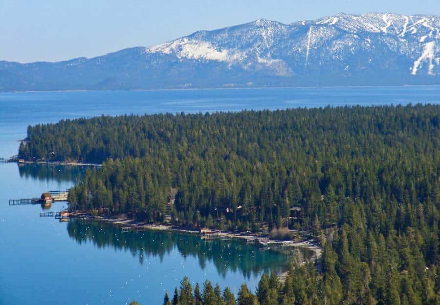 Aerial view of the green forest and mountain near the lake