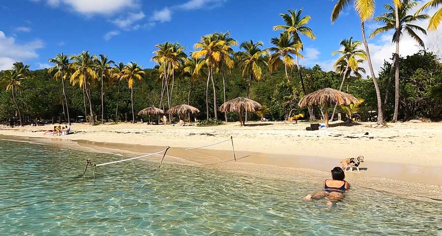 The author's wife with their dog enjoying the water in Honeymoon Beach