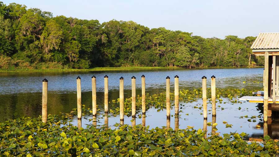 View from the Hontoon Island State Park
