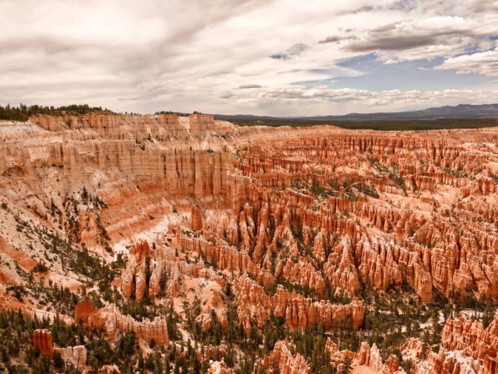 Overlooking view of the countless hoodoos within Bryce Canyon National Park