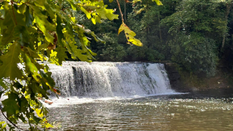 View of Hooker Falls in DuPont surrounded by greeneries