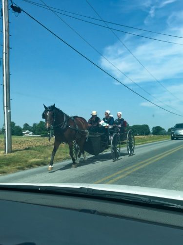 View of a horse carriage with passengers on the road