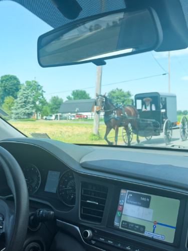 View of a horse and buggy on the road seen from the car