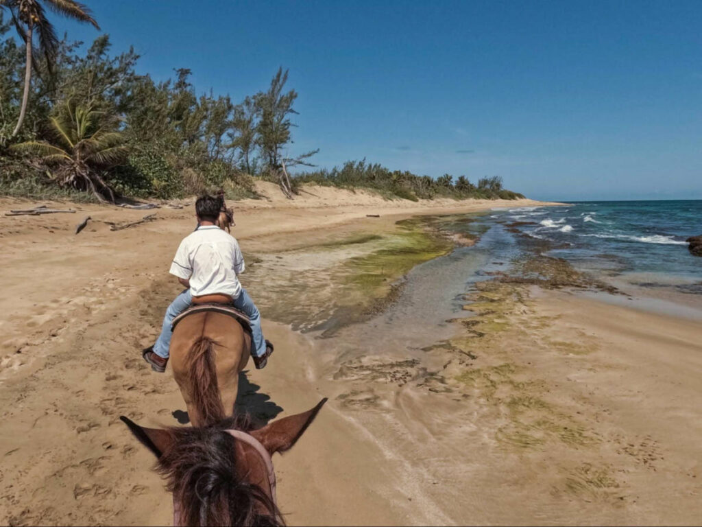A man riding a horse at a beach in Puerto Rico
