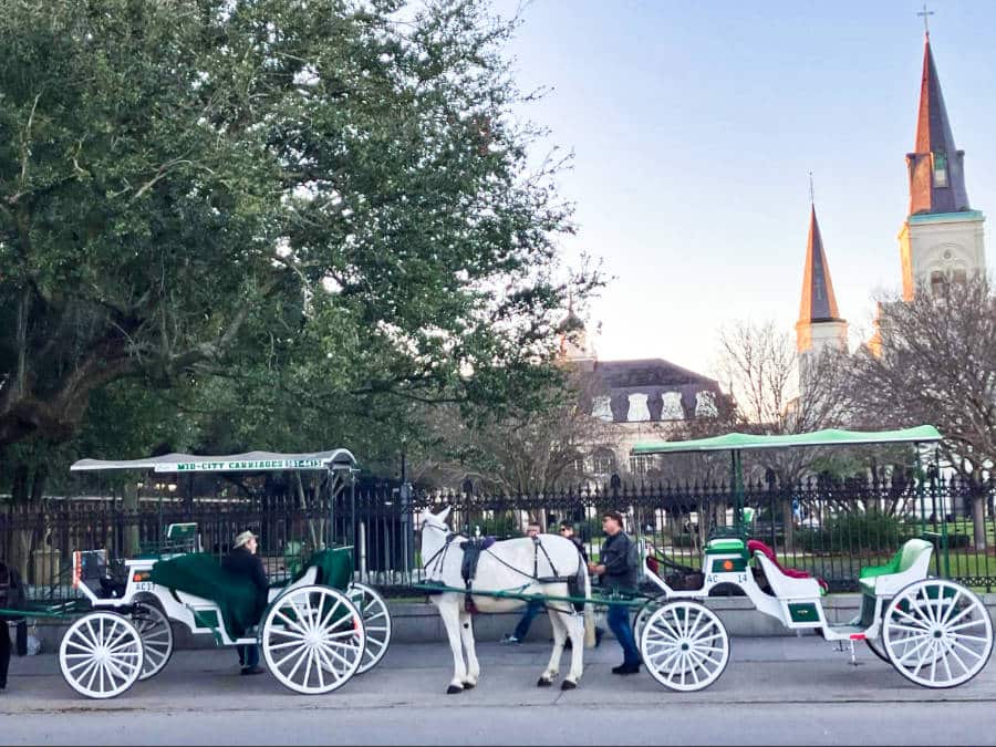 View of a horse-drawn carriages on Decatur Street in New Orleans