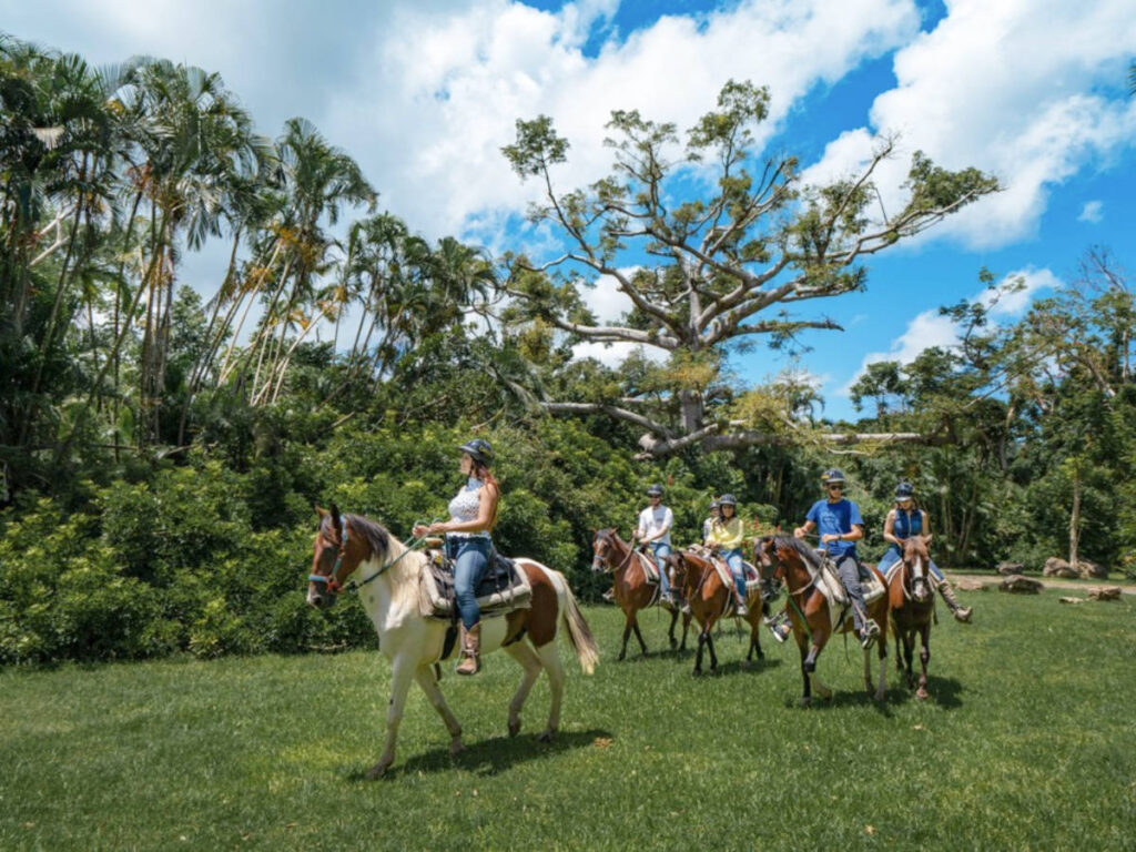 A group of tourists enjoying their horseback riding experience at Hacienda Carabalí Rainforest Park