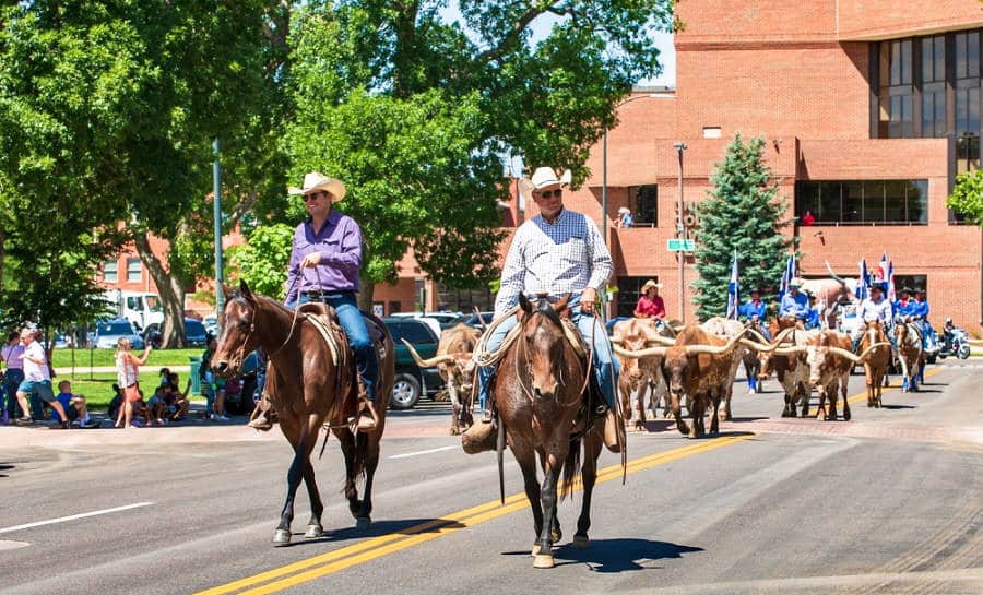 View of horseback and longhorn bulls rider on the street in downtown Greeley
