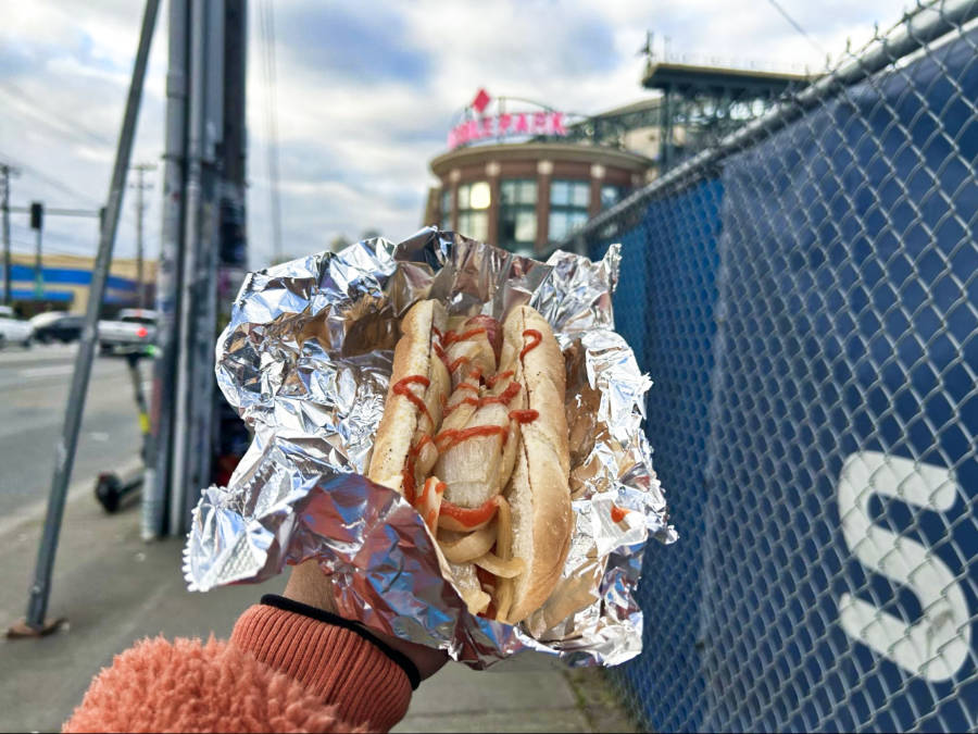 A hand holding a hotdog in a bun