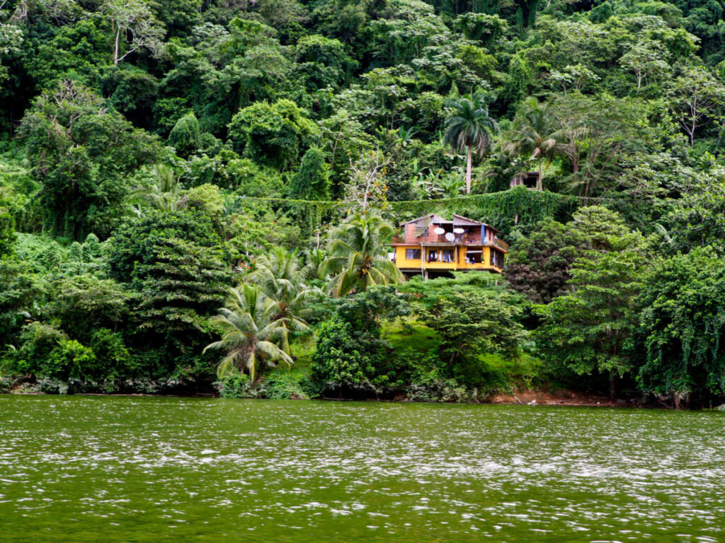 A house on the mountain surrounded by greenery near the lake