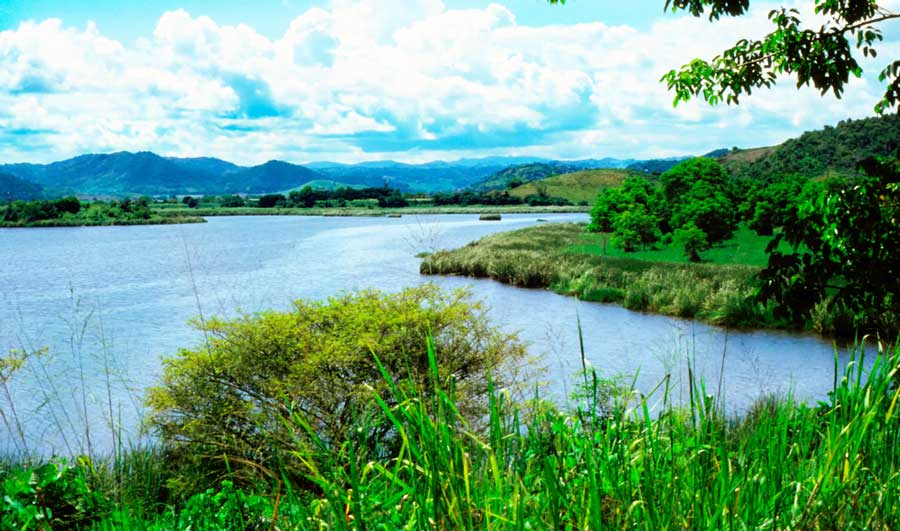 Overlooking view of the Humacao Nature Reserve