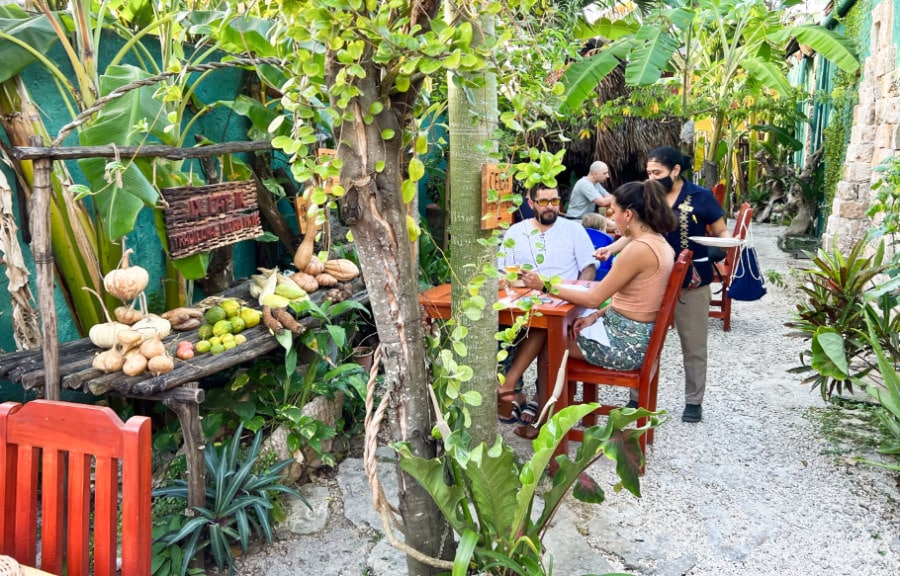 View of courtyard at IX CAT IK Traditional Cocina Maya