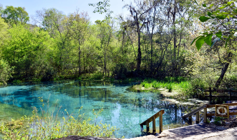View of Ichetucknee River and a staircase