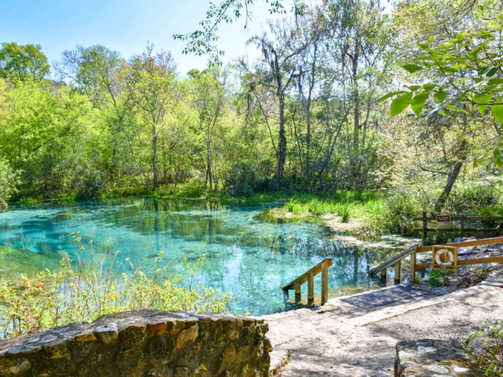 Scenic view of the natural springs surrounded by greenery at Ichetucknee Springs State Park